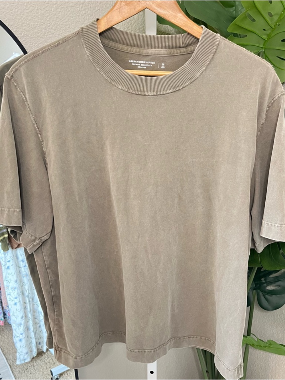 🖤 Abercrombie & Fitch Premium Essentials Taupe Cropped Tee Sz M
